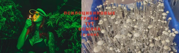 MDMA Богородицк