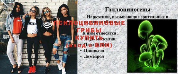 MDMA Богородицк