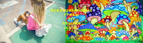 MDMA Богородицк