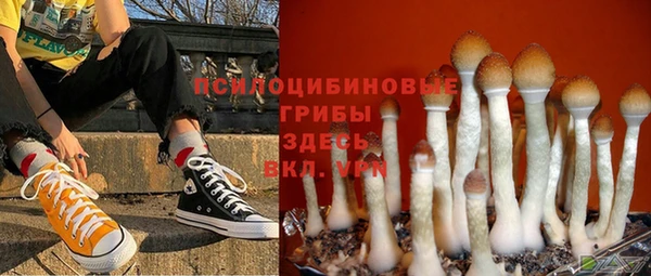герыч Богородск