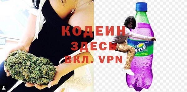 стафф Осташков