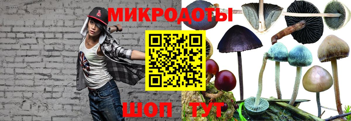 Сланцы  Псилоцибиновые грибы MAGIC MUSHROOMS  Вход с VPN 